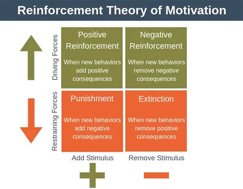 增強物種類|增強理論（reinforcement theory）